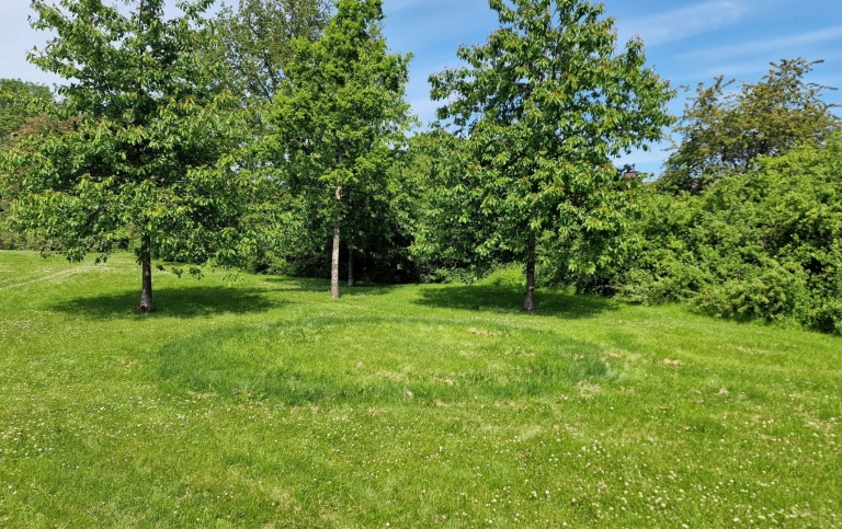 Häxring